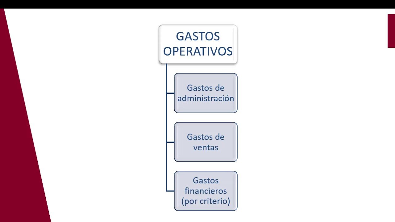 ¿Qué son los Gastos Operativos Acumulados y Por Qué Son Importantes?